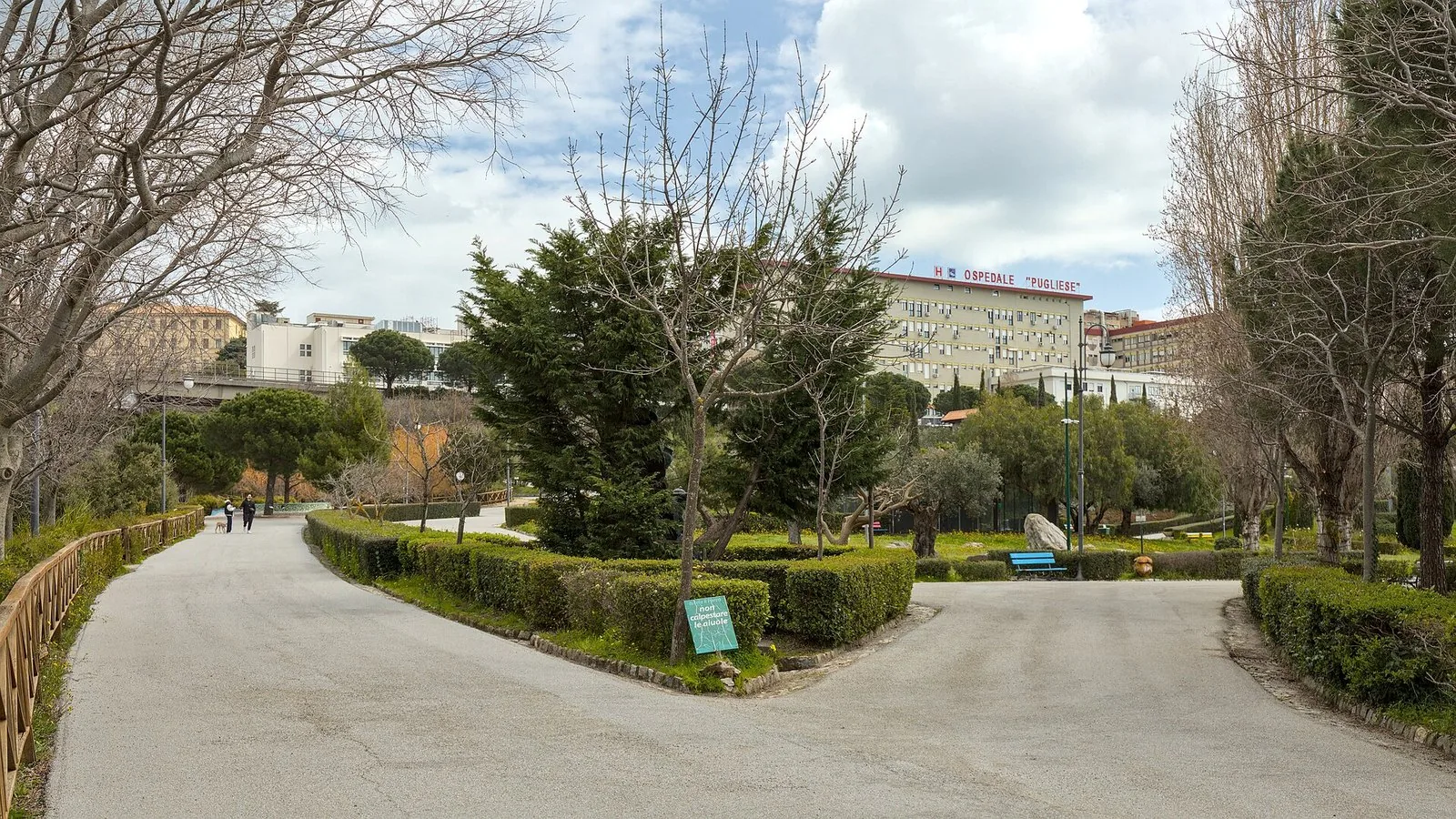 Un viale del Parco della Biodiversità Mediterranea, a Catanzaro